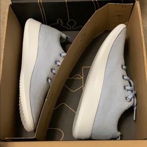 Allbirds Wool Runners (Frost Blue)